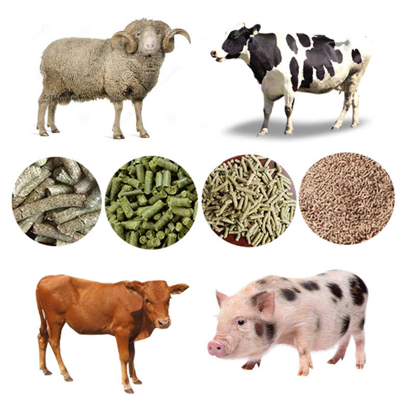 5 T/H Livestock Feed Pellet Line